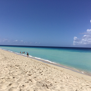 November Winner: Patty’s Perfect Day