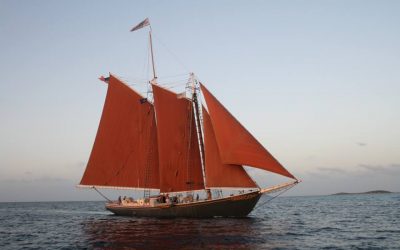 Post-Maria Update: World Ocean School and Roseway