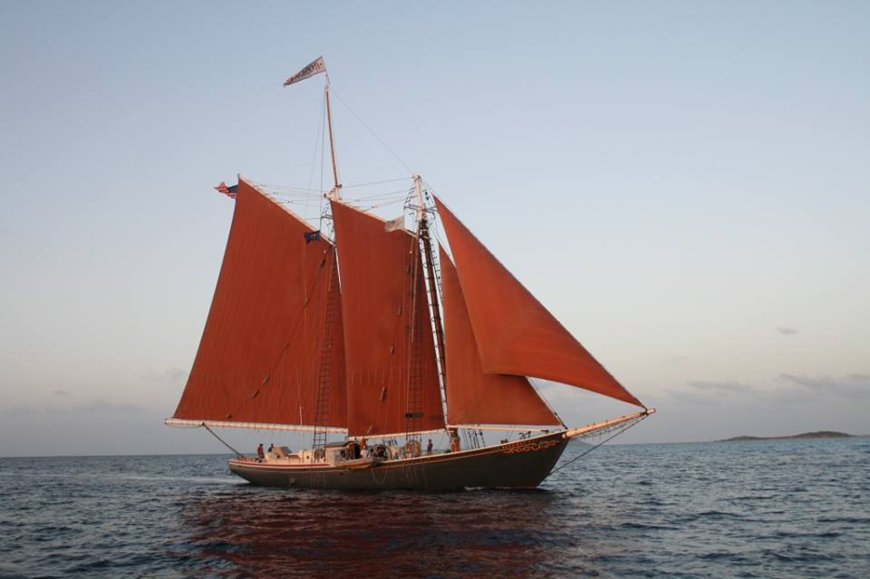 Post-Maria Update: World Ocean School and Roseway