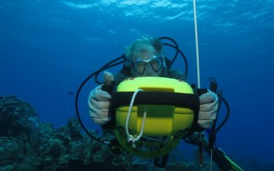 Dining and Dives St. Croix