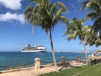 Cruise Ship Day
