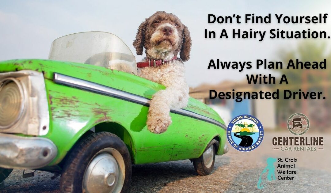 Designated Driver Tickets for The Fur Ball