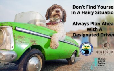 Designated Driver Tickets for The Fur Ball